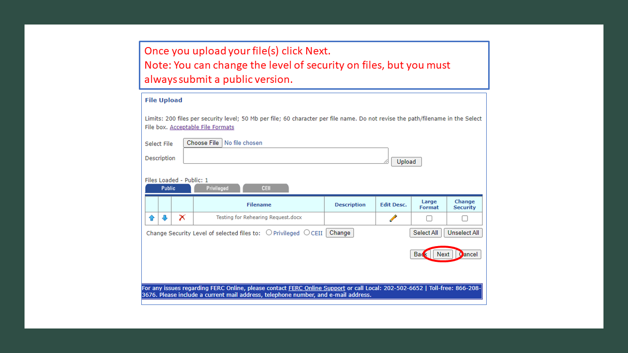 Once you upload your file(s) click Next.  Note: You can change the level of security on files, but you must always submit a public version. 