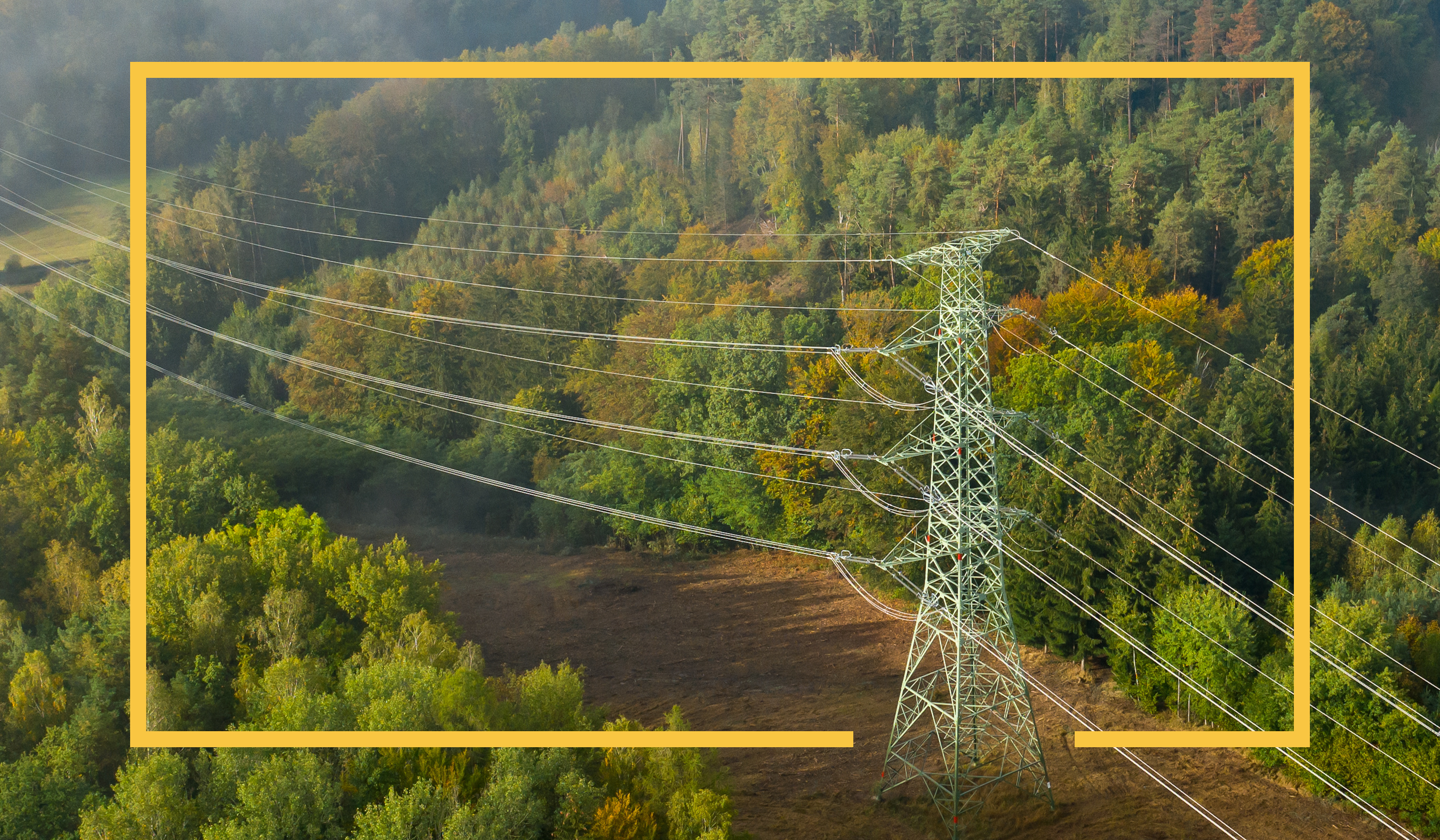 Transmission Line in wooded area